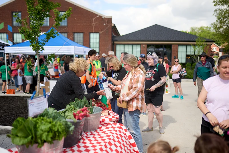 farmers market